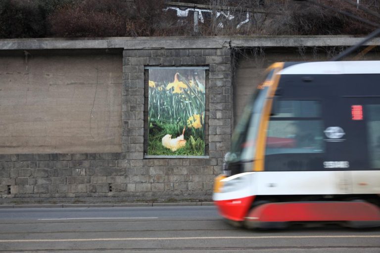 Uměleckou zeď podél nábřeží ozdobí poezie o zdevastované řece Bečvě