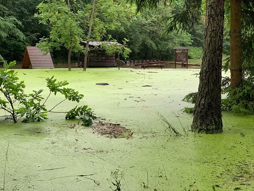 Do Modřanské rokle jen na kajaku