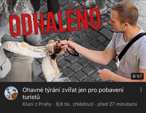 Ohavné týrání zvířat jen pro pobavení turistů