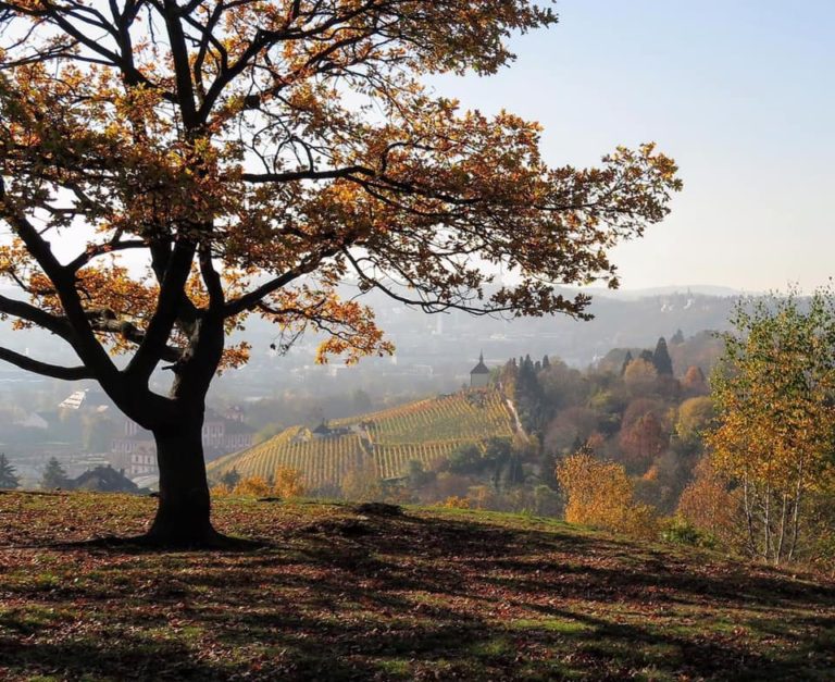 Seriál #nadPrahou. Vystoupejte nad město, vydejte se do Troje