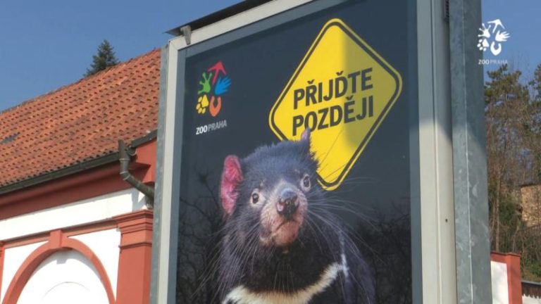 BLÁZNIVEJ KAČER: Ukrajinské děti vykoukaly v zoo ta nejlepší zvířata!